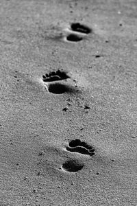 footprint