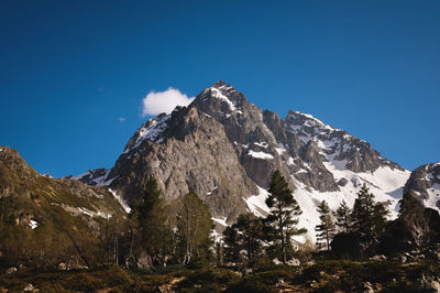 Mountain landscape. view of a high rocky mountain with snow in the summer on a sunny day, coniferous