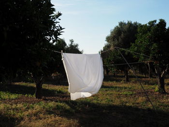 White clothes drying on field against trees