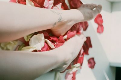 Close-up of hands holding white flowers