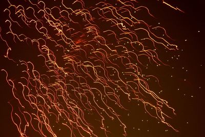 Close-up of fireworks against sky at night