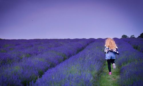 Rear view of girl running amidst lavender field against clear sky during sunset