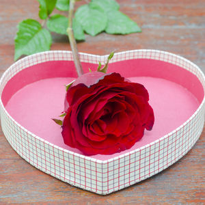 High angle view of red rose on table