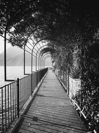 Empty footbridge along trees