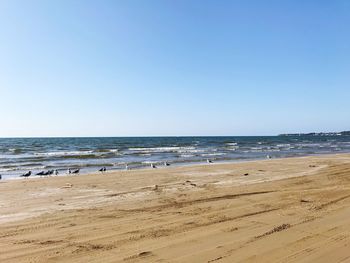 Scenic view of beach against clear blue sky