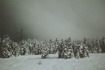 Trees on snow covered field against sky