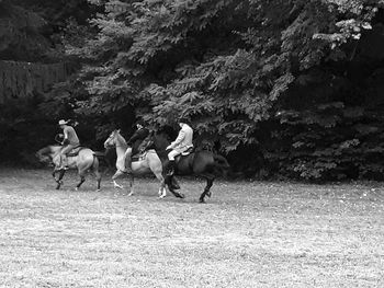 People riding horses on field