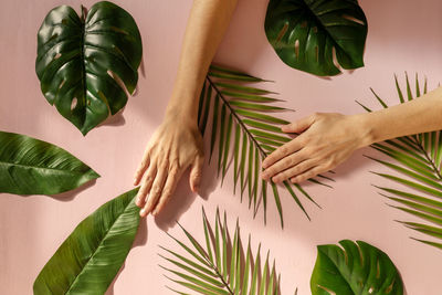 Cropped hands of woman touching plants on colored background