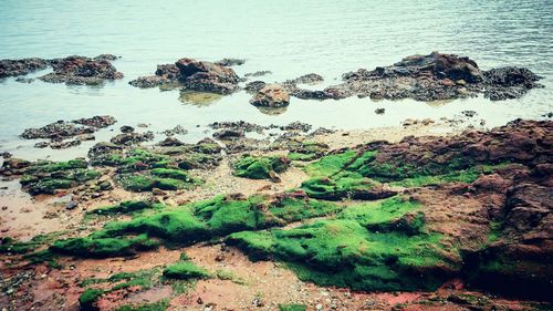 Rock formation in sea