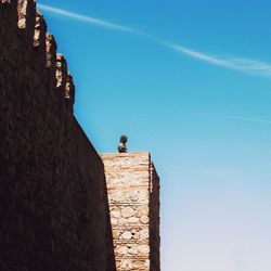 Low angle view of bird perching on built structure against blue sky