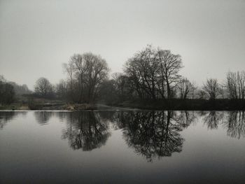 Reflection of trees in water