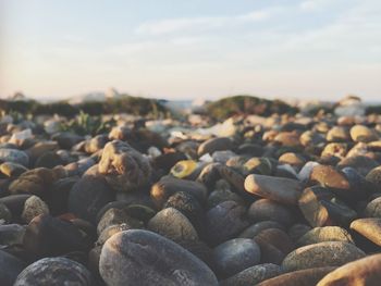 Close-up of pebbles at beach against sky