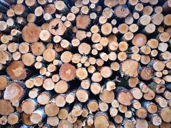 Full frame shot of logs in forest