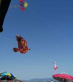 Low angle view of kites flying against clear blue sky