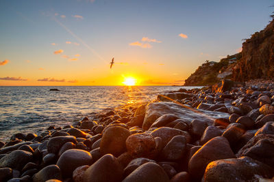 Close-up of pebbles on beach against sky during sunset