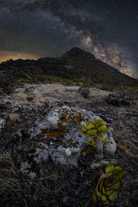 Scenic view of field against sky at night
