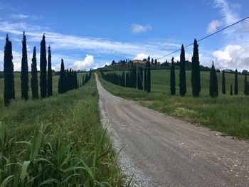 Panoramic shot of road amidst field against sky