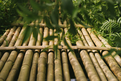 Full frame shot of bamboo bridge