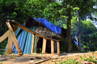 Built structure by trees in forest