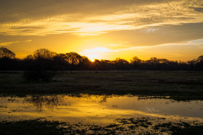 Scenic view of landscape at sunset