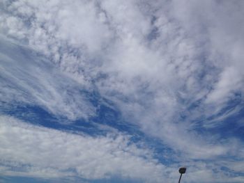 Low angle view of bird flying in sky