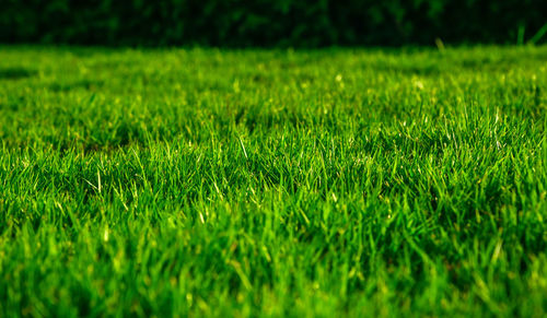 Full frame shot of soccer field