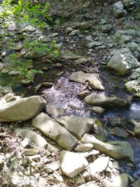 High angle view of stones in lake