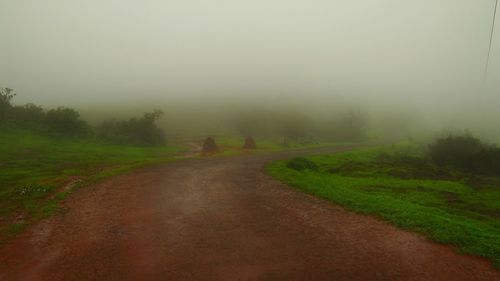 Dirt road amidst trees against sky during foggy weather