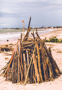 Driftwood on beach by sea against sky