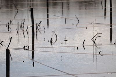 Close-up of text written on water