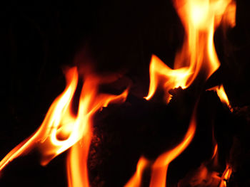 Close-up of bonfire at night