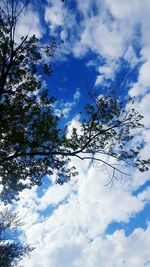 Low angle view of tree against cloudy sky