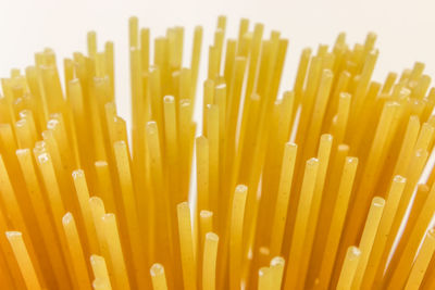 Close-up of yellow flower