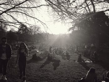 Sun shining through trees