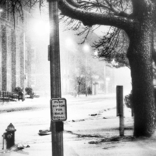 text, communication, western script, tree, snow, cold temperature, winter, information sign, guidance, road sign, warning sign, tree trunk, sign, pole, weather, nature, no people, information, tranquility, outdoors