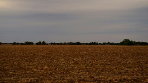 Scenic view of rural landscape