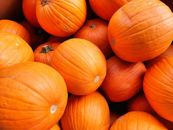 Full frame shot of pumpkins at market stall