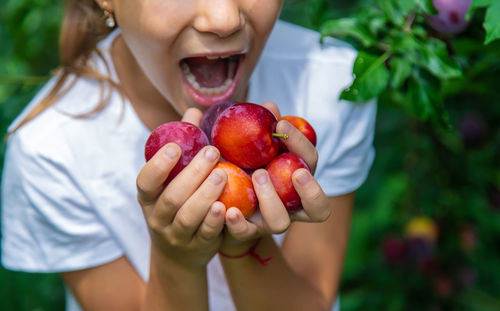 Midsection of girl holding plums in hands