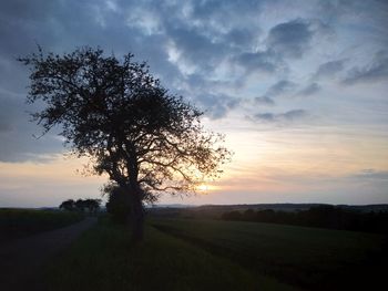 Silhouette tree on field against sky during sunset