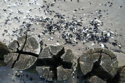 High angle view of water on rocks