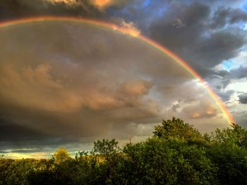 Low angle view of rainbow over trees against sky