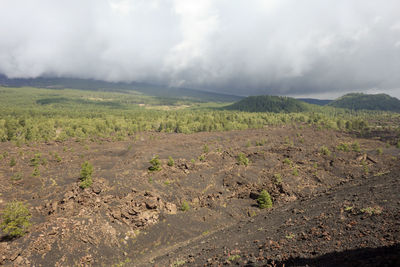 Scenic view of field against cloudy sky