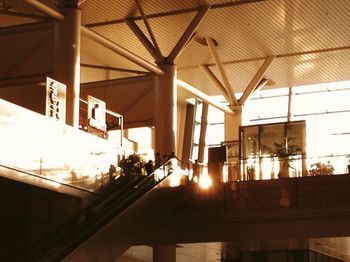 Sun shining through trees