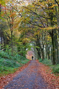 Man walking amidst trees during autumn