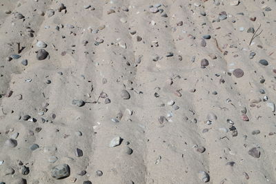 Full frame shot of sandy beach on sunny day