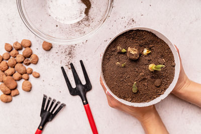 High angle view of hand holding chocolate cake