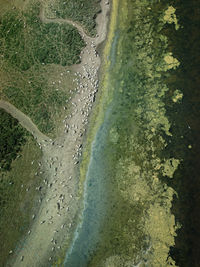 High angle view of road amidst trees