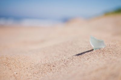 Surface level of sand on beach against sky