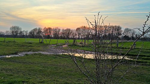 Scenic view of grassy field against sky at sunset