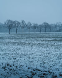 Bare trees on field against clear sky during winter